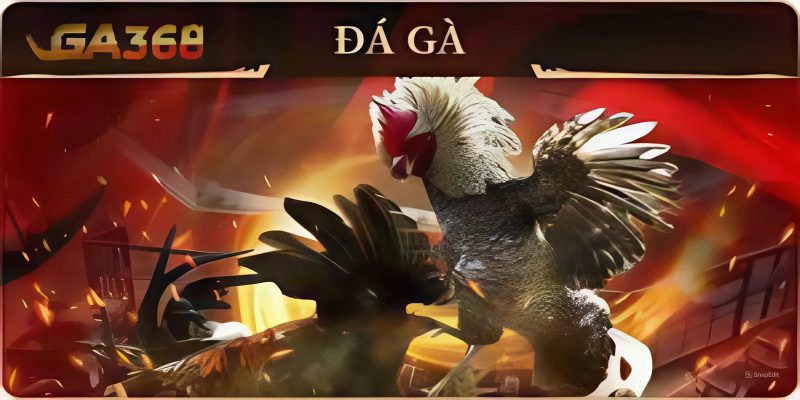 Tổng quan về chúng tôi GA368