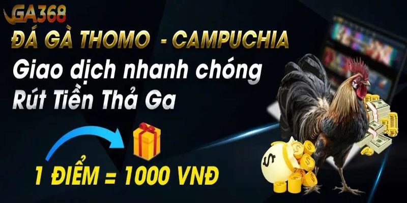 Đá gà Thomo chỉ có tại về chúng tôi GA368